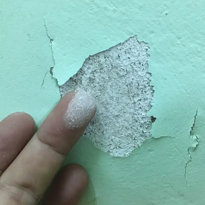 Moldy or peeling walls? Try this simple trick before calling a technician