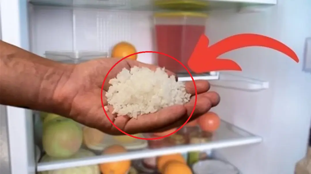 Why Some People Put Salt in the Refrigerator: A Simple Yet Effective Trick