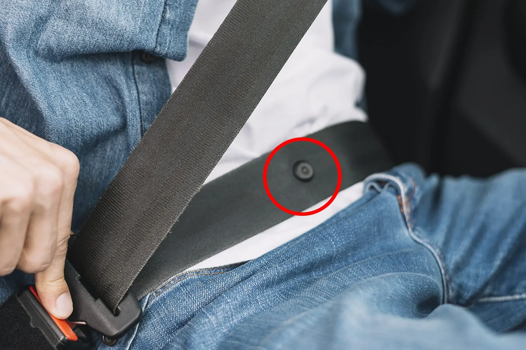The Tiny Button on Your Seat Belt: A Small Feature With a Surprisingly Smart Purpose