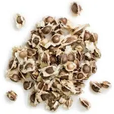 12 Hidden Health Benefits of Moringa Seeds That Might Surprise You