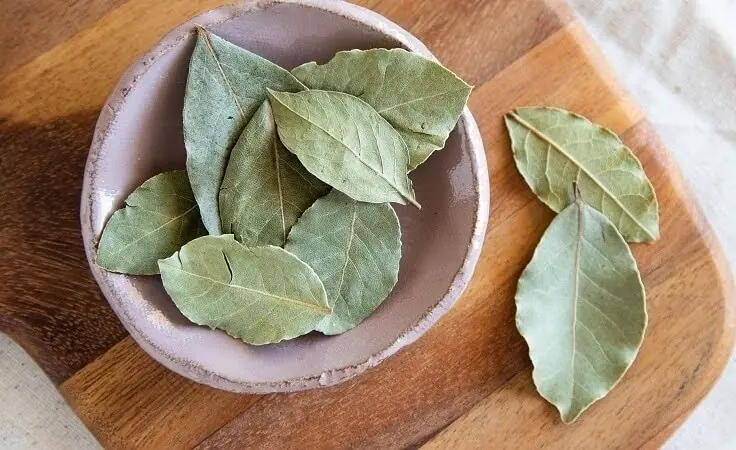 Why Boiled Bay Leaves and Cloves Are Gaining Attention for Natural Wellness?