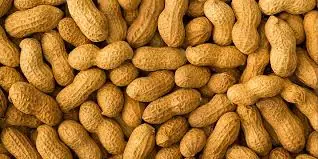 What Happens to Your Body When You Eat Peanuts? Doctors Explain
