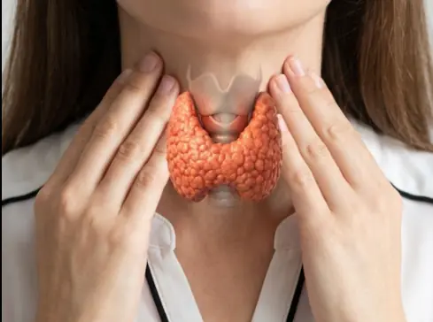 Which Foods Can Cause Thyroid Inflammation?