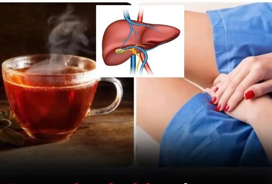 The liver is an important detoxification and metabolic organ of the body.