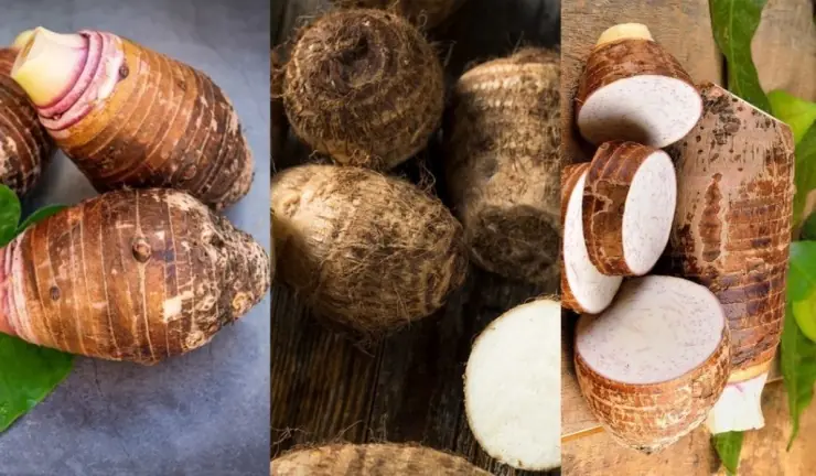 The Traditional Superfood Making a Comeback for Health and Sustainable Living