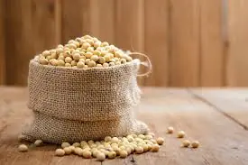 13 Surprising Health Benefits of Soybeans That May Improve Your Health