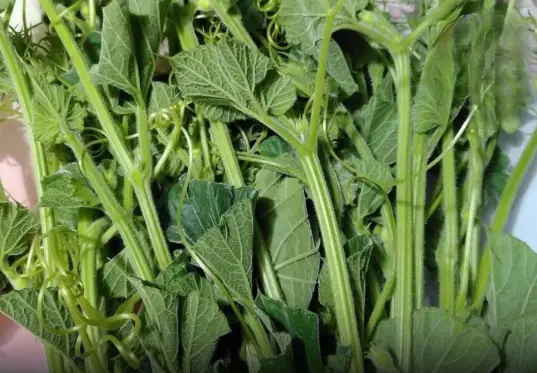 These 3 Vegetables May Raise Ca:ncer Risk