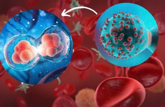 Be sure to watch for these signs.