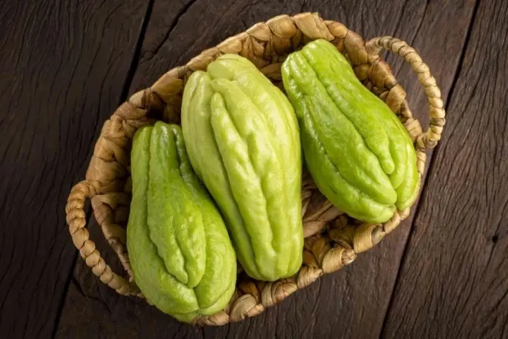 7 Amazing Health Benefits of Chayote Squash You Should Know