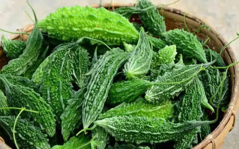 Is Bitter Melon Really the “Enemy” of High Blo.od Sugar? These 4 Vegetables Are Recommended to Eat More Often