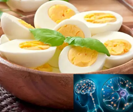 What Research Reveals About the Health Benefits of Eggs