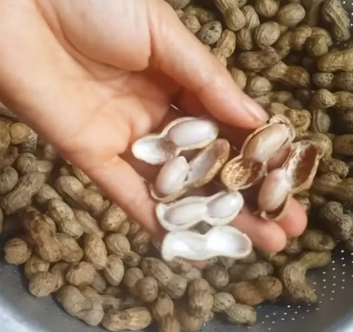 Doctors Explain What May Happen When You Eat Peanuts Regularly