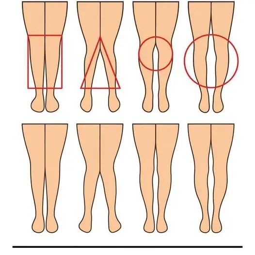 The Subtle Messages Hidden in a Woman’s Legs: What Body Language Might Reveal