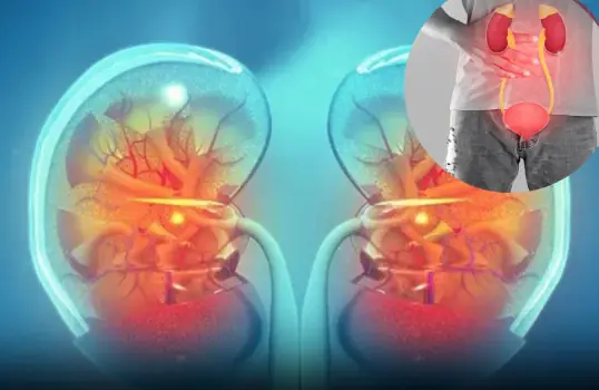Early Kidney Problems: 8 Symptoms Many People Overlook