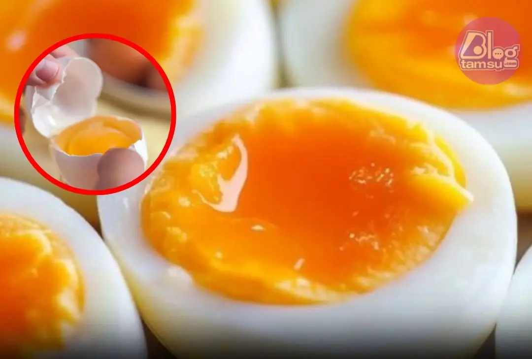 Medical Warning: How Many People Eat Boiled Eggs May Increase Artery Blockage Risk
