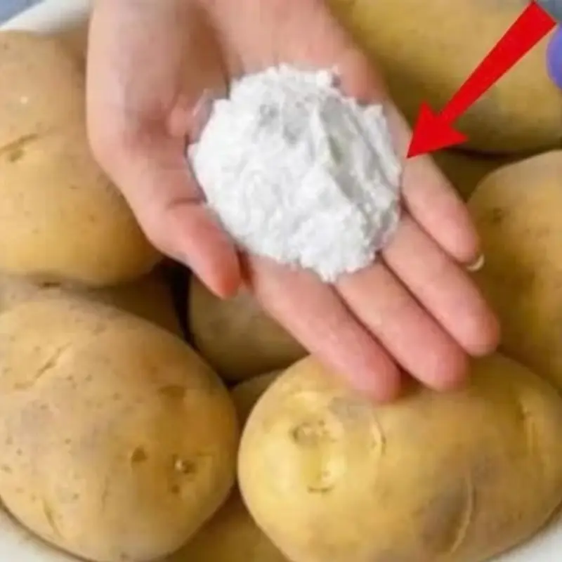 Simple Tips to Keep Potatoes Fresh for Up to a Year
