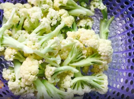 Four Types of Vegetables That Cancer Cells “Fear”: Doctors Recommend Eating Them Regularly for Better Health