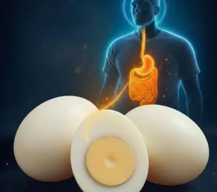 What Happens When You Eat Three Whole Eggs Every Day? The Results May Surprise You