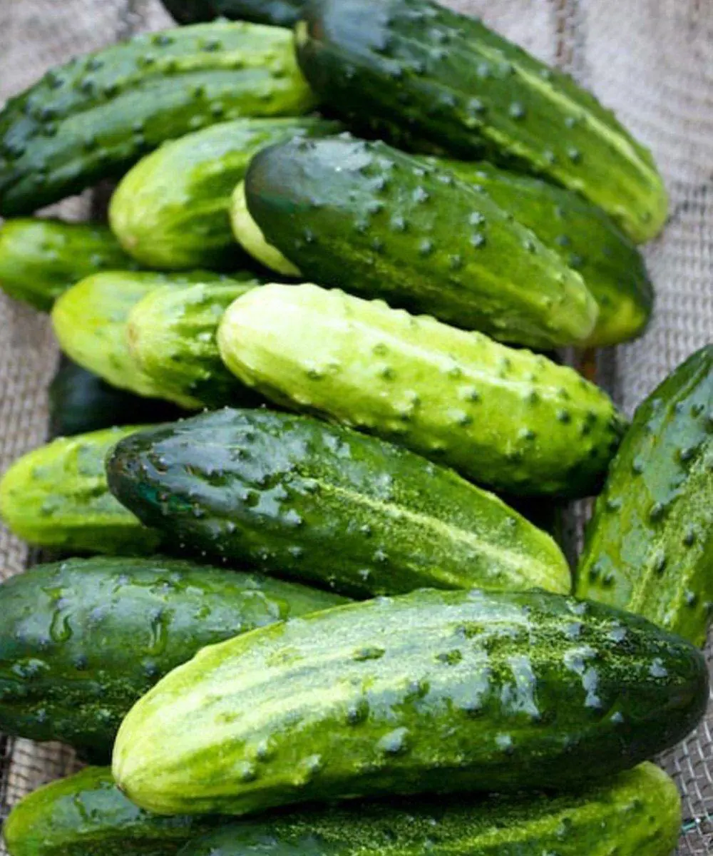 Doctors explain what happens when cucumbers are mixed with certain foods.