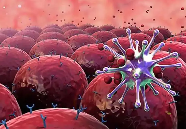 8 Can.cer Cases Detected in Just 3 Days During Screening: Oncology Director Issues Warning