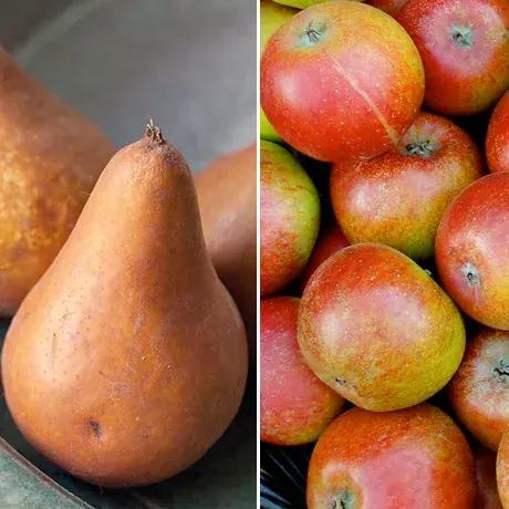 8 Surprisingly Toxic Foods You Should Never Eat in Excess