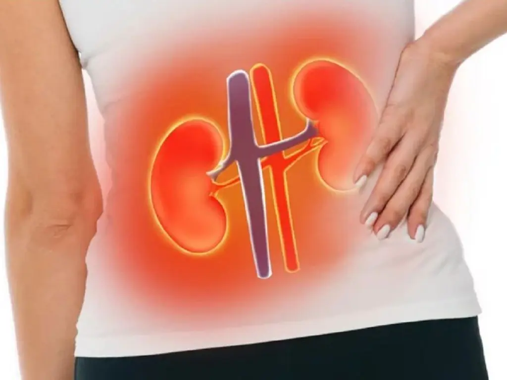 10 Early Warning Signs Your Kidneys Are Crying for Help