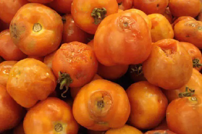 Rotten tomatoes may seem useless, but they can actually be used for several practical purposes