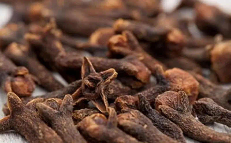 15 Simple yet Powerful Ways to Use Cloves That Many People Don’t Know About