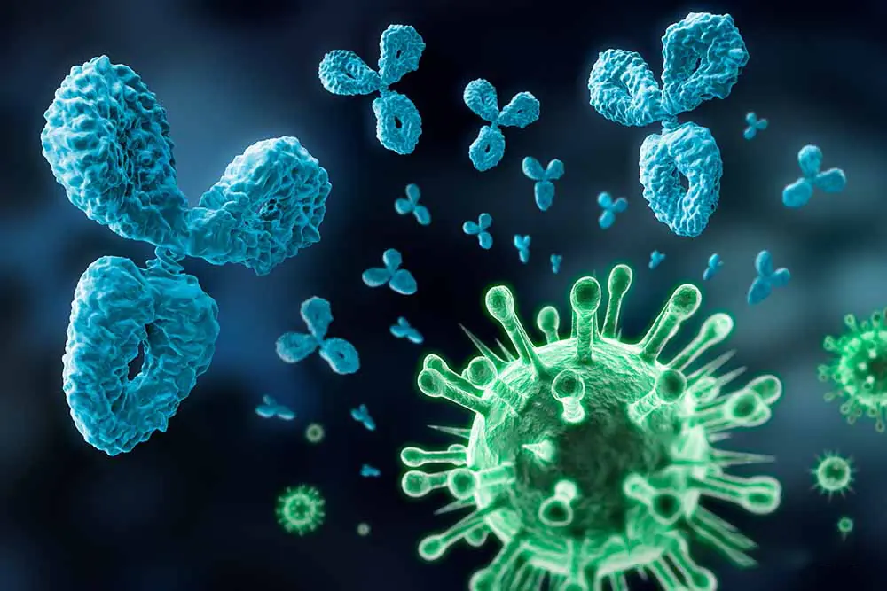 10 healthy foods that may help support the body’s natural protection against can.cer