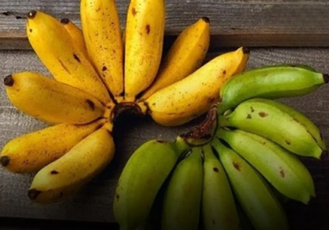 Doctors reveal that eating bananas before bed can lead to...