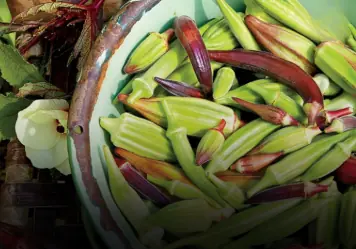 Okra is a familiar vegetable in many households around the world.