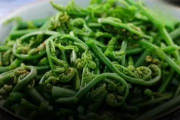 A bowl of bright green shoots fills the frame—fresh, appetizing, and deceptively simple.