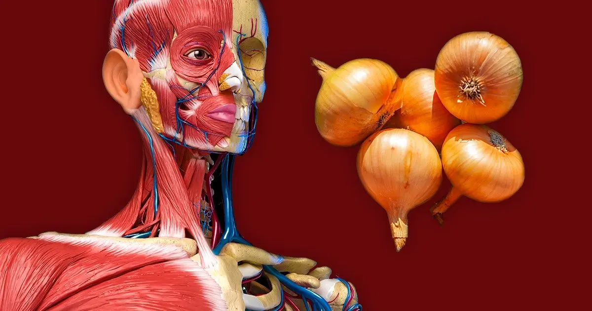 7 Surprising Things That Happen When You Eat Onions Daily