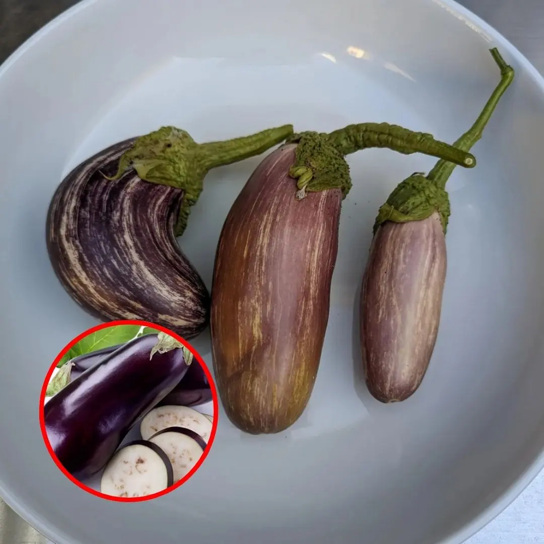 Don’t Panic, But Your Eggplant Might Not Be as Safe as You Think