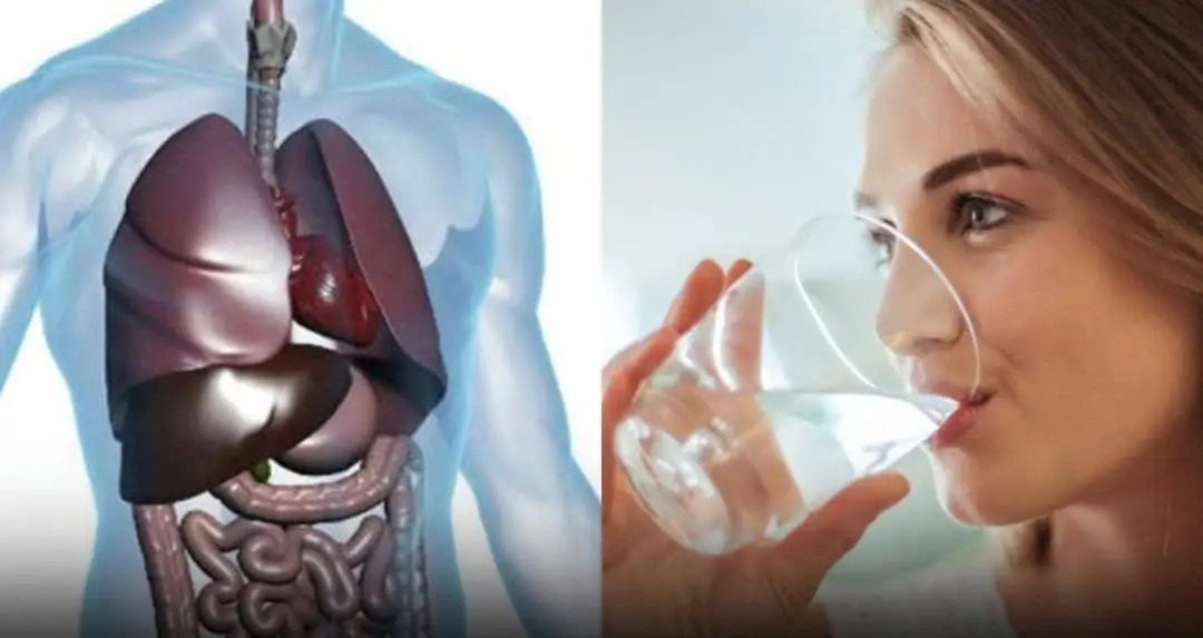 Why You Should Drink Water on an Empty Stomach Right After Waking Up