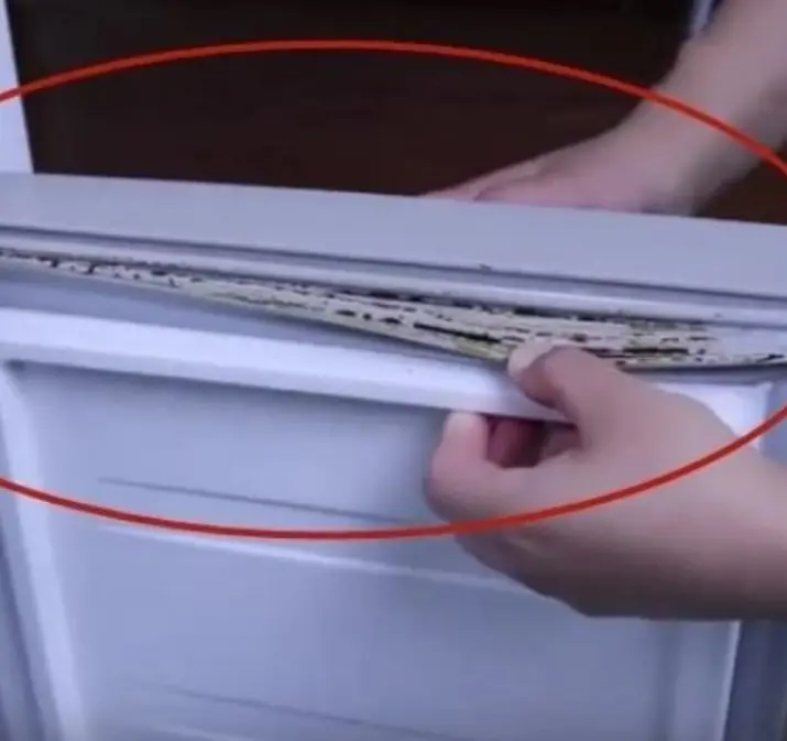Black mold on your fridge gasket? Wipe it with this—clean in just 5 minutes!