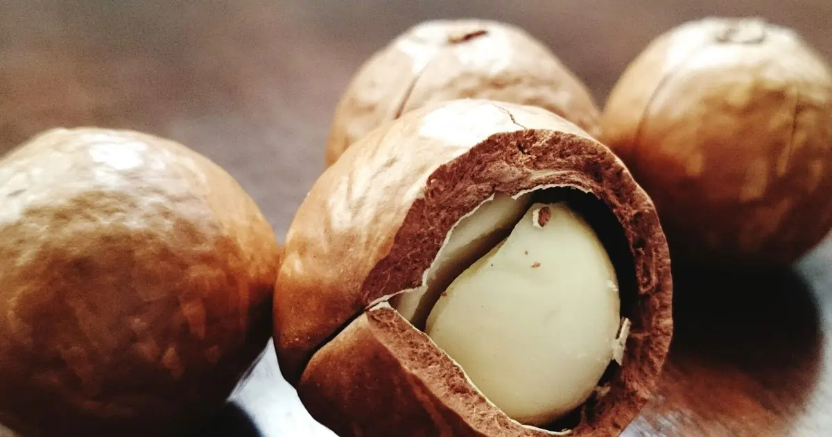 Think Macadamia Nuts Are Always Healthy? Doctors Say They May Cause…