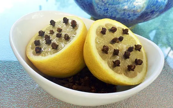 Just Lemon and Cloves? This Simple Combo Has Surprising Everyday Benefits