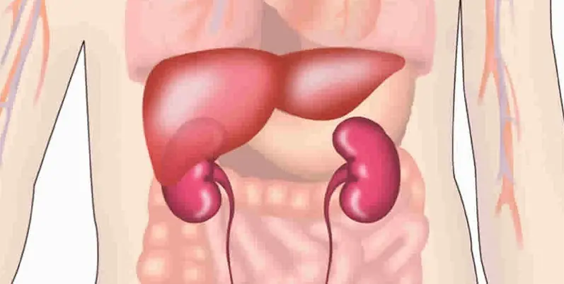 Don’t Ignore These 2 Night Signs - They Could Indicate Liver or Kidney Problems