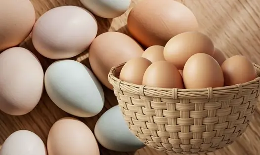 Eating Eggs Every Day? Here’s What Research Says About Safe Intake
