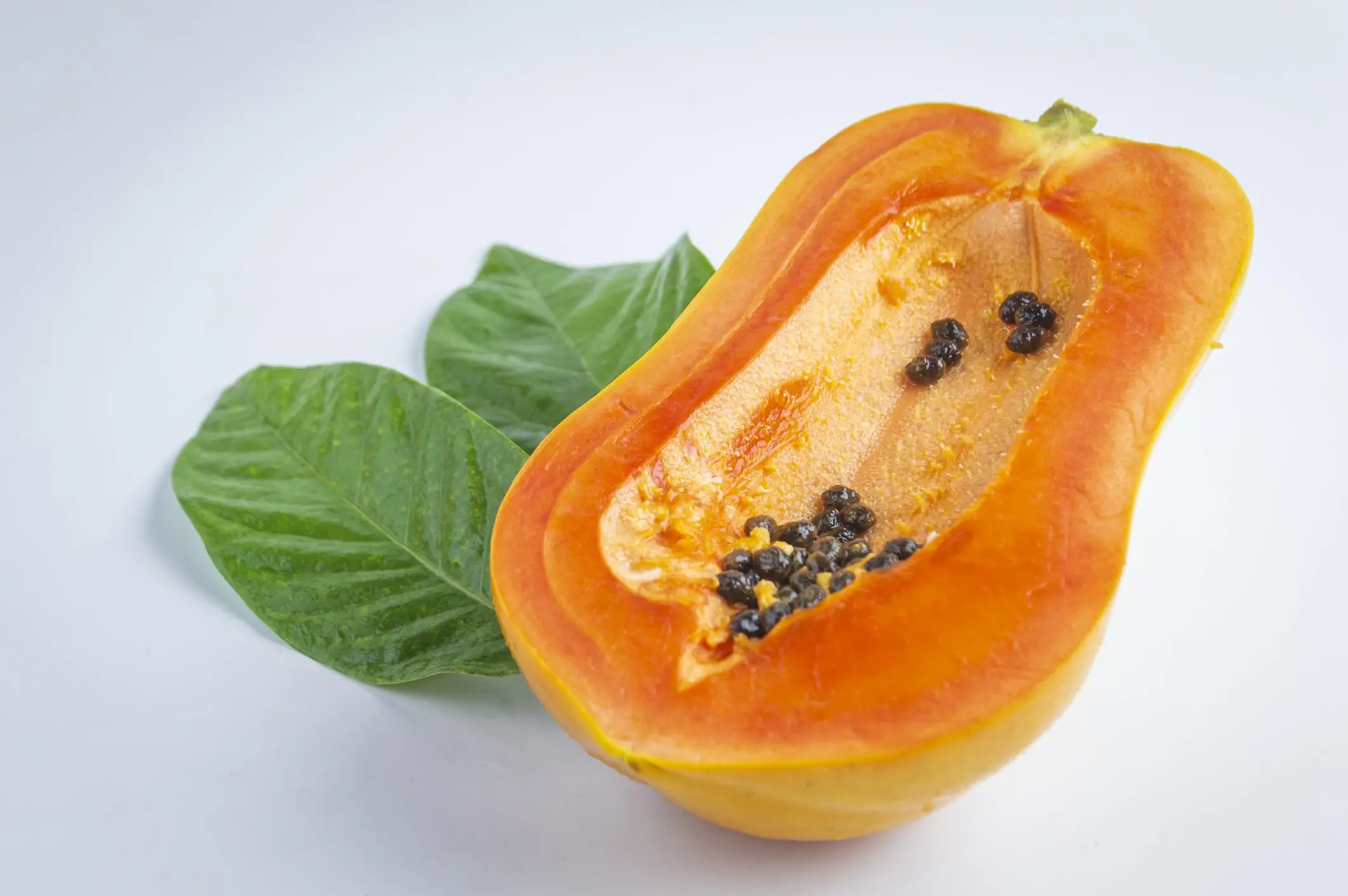 10 Budget-Friendly Alternatives With Nutrition Comparable to Bird’s Nest