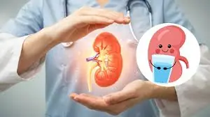 Your kidneys work quietly every day — but some common habits are secretly harming them…