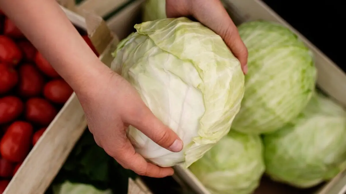 What Happens to Your Body When You Eat More Cabbage Every Week