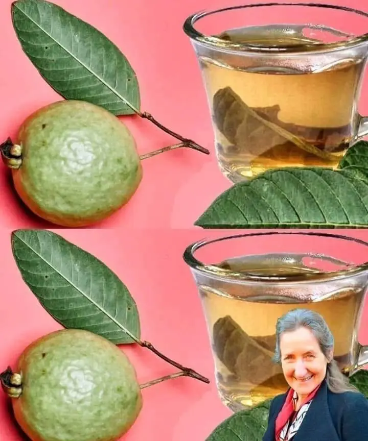 Discover the Incredible Health Benefits of Guava Leaves and Tea