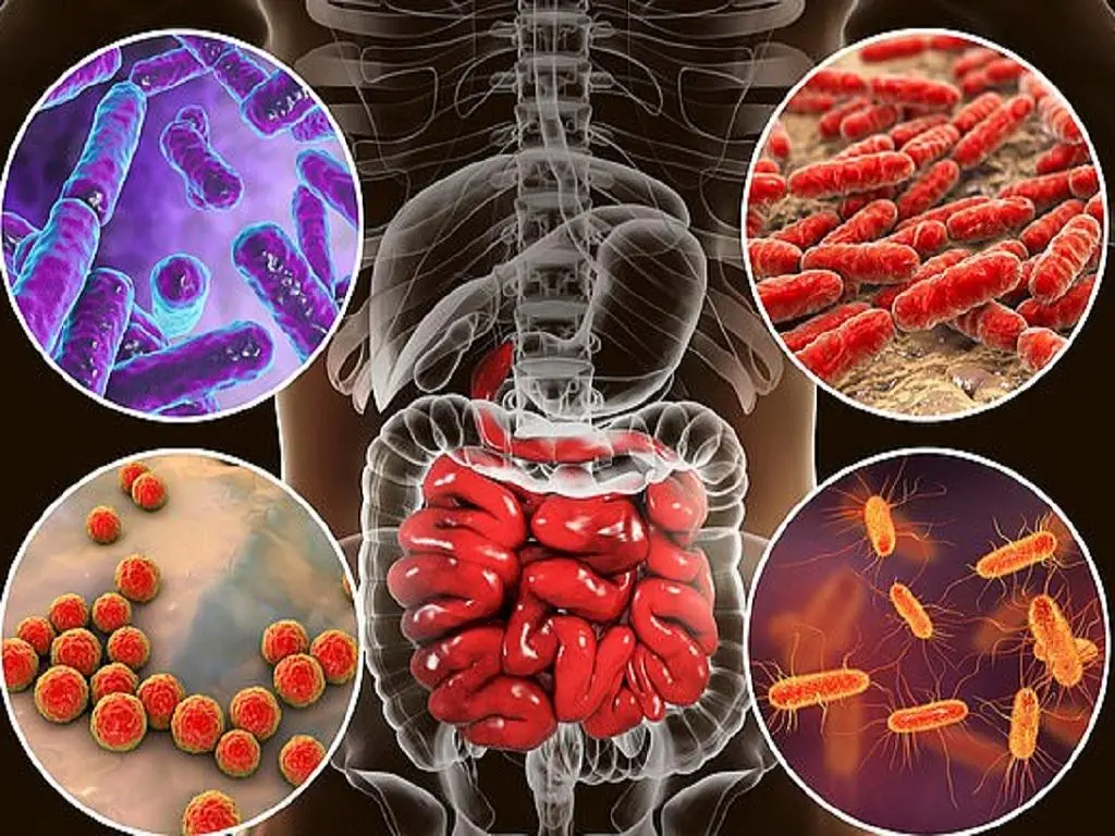 5 foods to eat first thing in the morning to promote digestive health and support dis.ease prevention