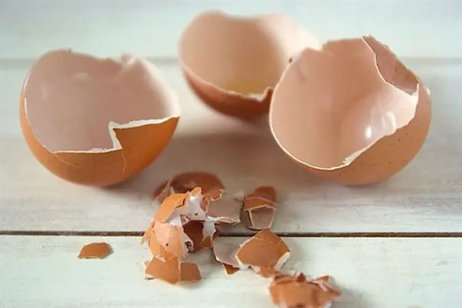 Don’t throw away eggshells - boil them and unlock their hidden benefits