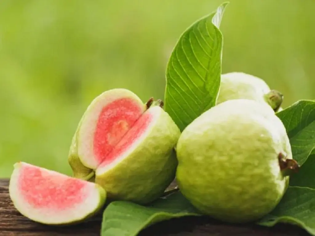 Doctors explain what happens when you eat guava