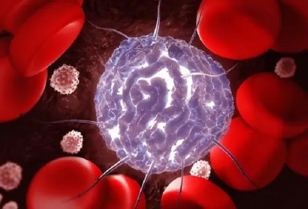 Ongoing Studies Examine How Abnormal Cells Might Be Guided Toward Normal Behavior