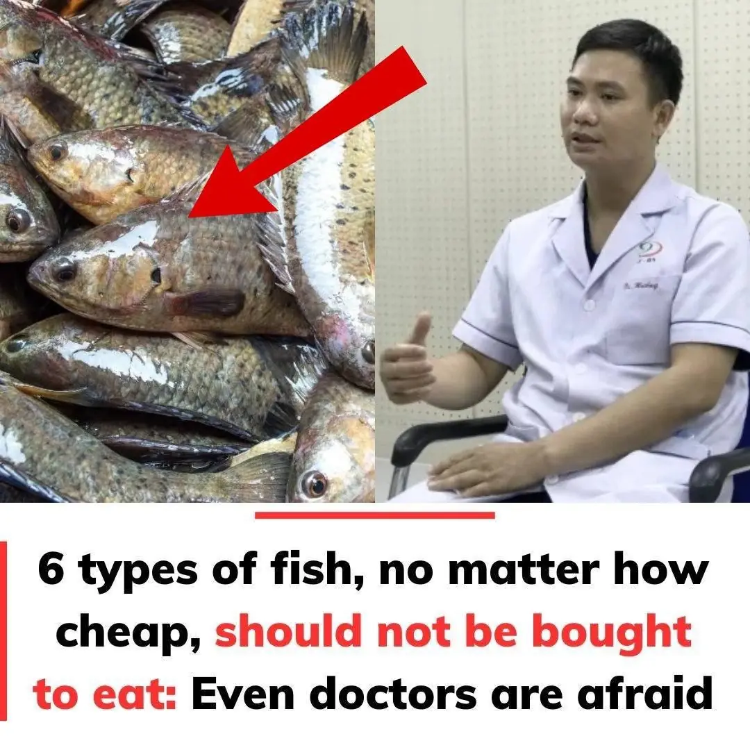 6 Fish You Should Never Buy, Even If They’re Cheap