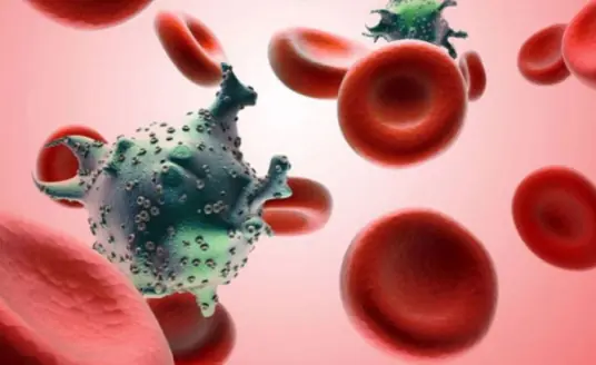 8 Foods That May Help Destroy Cancer Cells